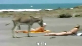 Liekna apskretėlė rūpinasi mano gaidžiu